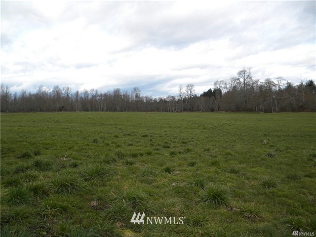 683 Monte Elma Road Elma, WA 98541 - Photo 4 of 12 Gallery Image 4