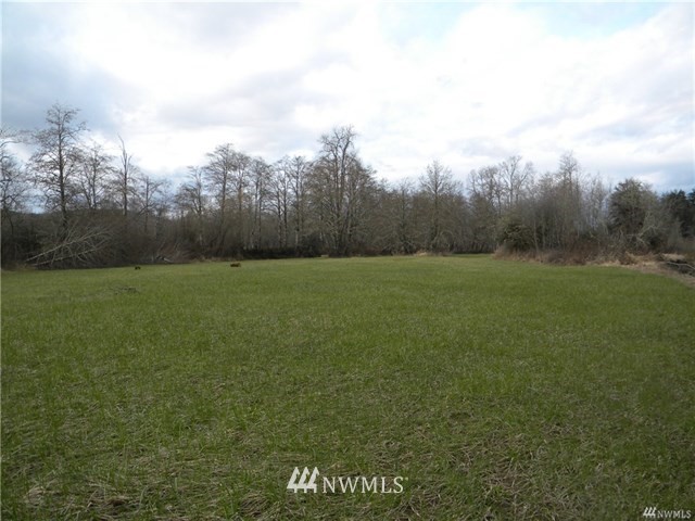 683 Monte Elma Road Elma, WA 98541 - Photo 6 of 12 Gallery Image 6