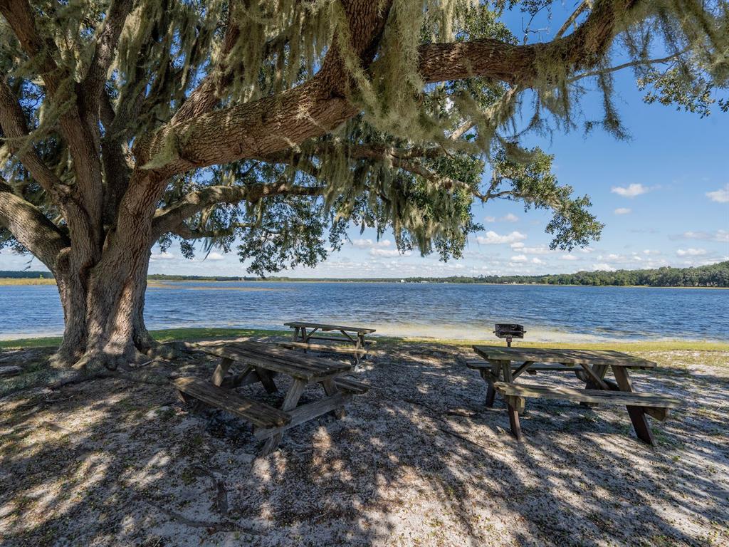 24797 Northeast 135th Street Salt Springs, FL 32134 - Photo 55 of 61 a view of a backyard with floor to ceiling window and wooden fence