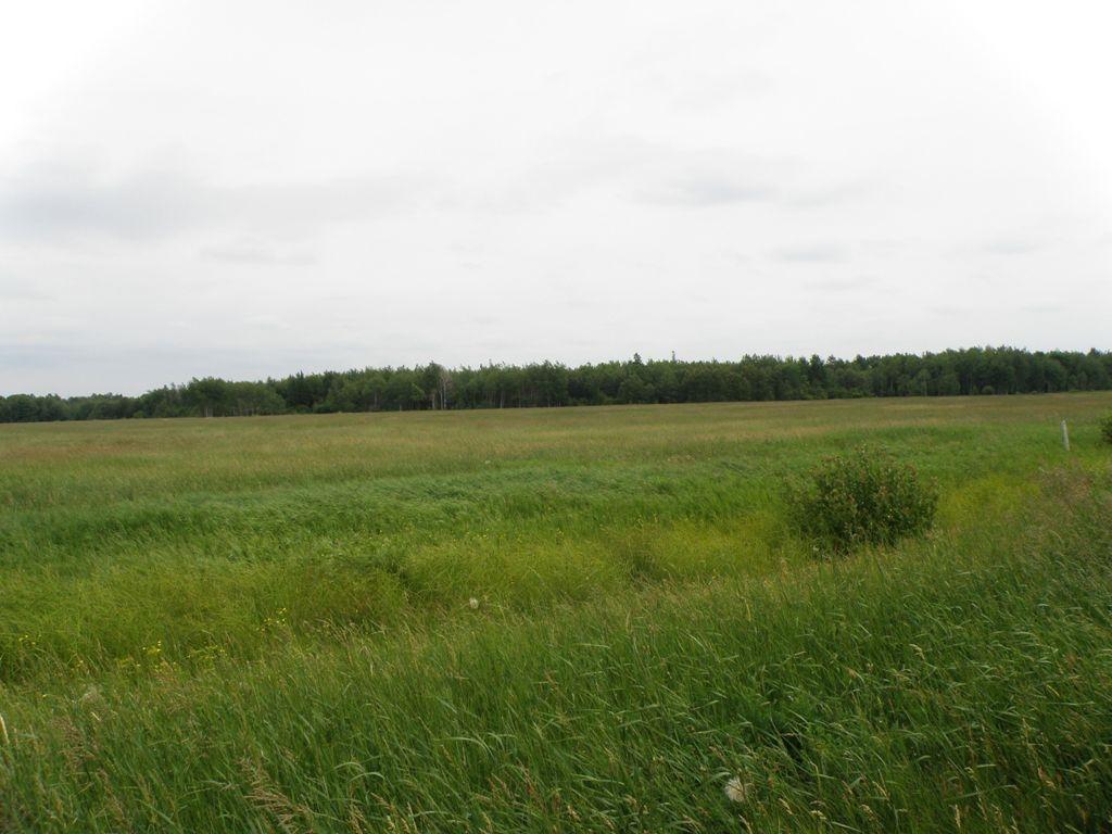 12248 South Bound Road Dafter, MI 49724 - Photo 23 of 61 Gallery Image 23