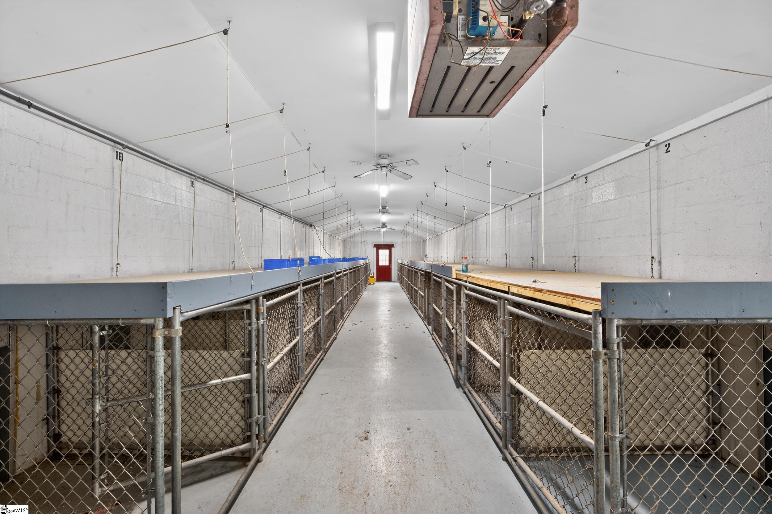 341 State Rd S-42-986 Chesnee, SC 29323 - Photo 24 of 37 30 kennels in climate controlled room with exterior access in every kennel