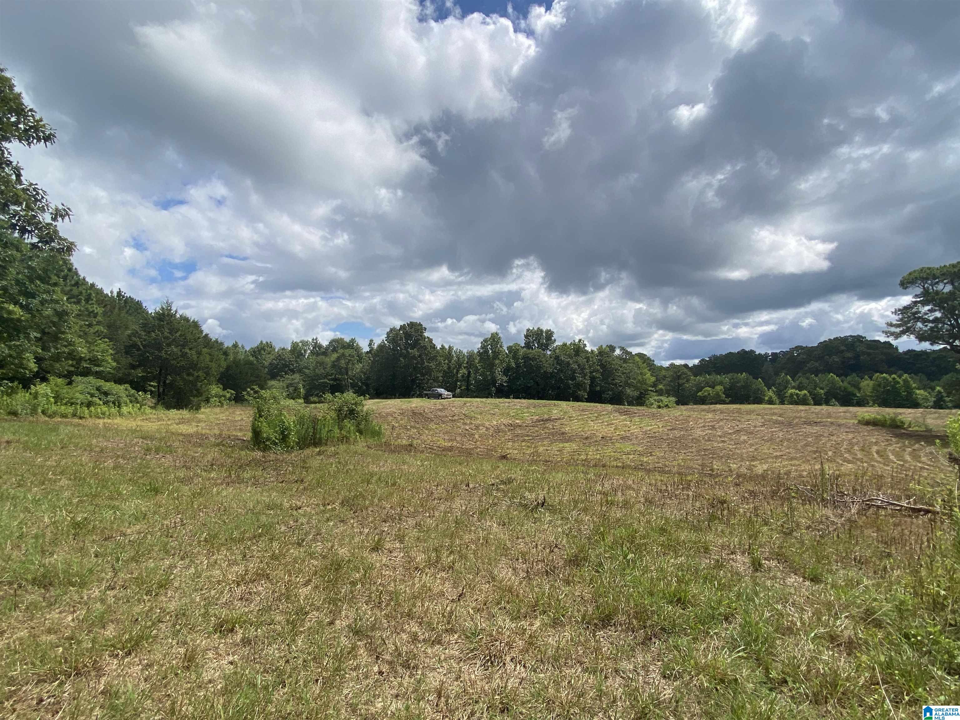 Buck Road, Unit 43 Cleveland, AL 35049 - Photo 5 of 17