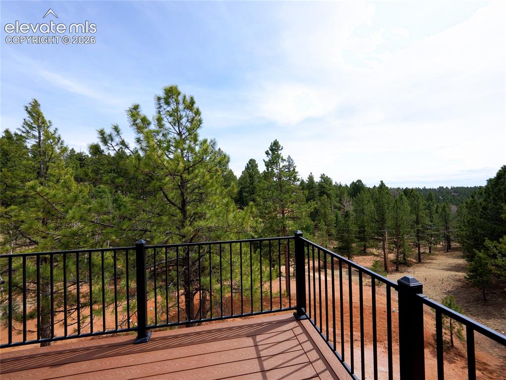 748 Pinewood Road Florissant, CO 80816 - Photo 14 of 46