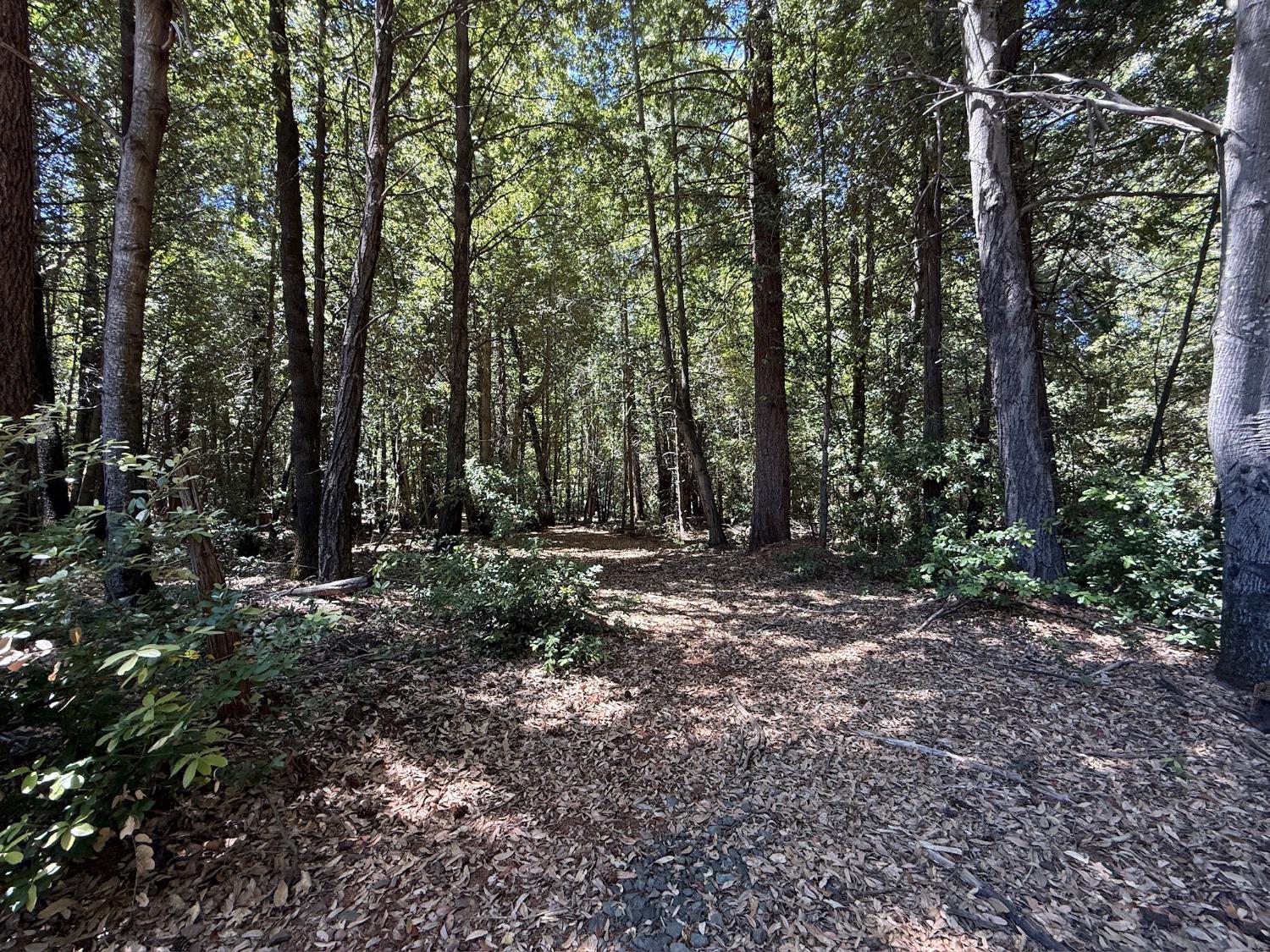 17243 Indiana Ranch Road Challenge, CA 95925 - Photo 20 of 22