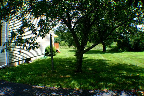 1 Fawn Ridge, Unit 1 Brookfield, CT 06804 - Photo 23 of 23 a view of yard with green space
