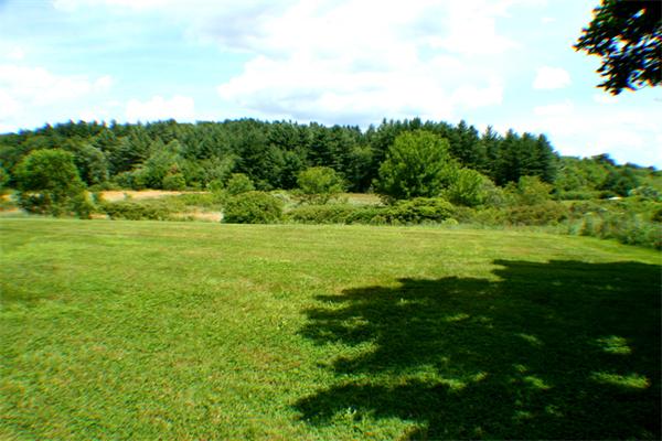 1 Fawn Ridge, Unit 1 Brookfield, CT 06804 - Photo 5 of 23 a view of a grassy field with trees