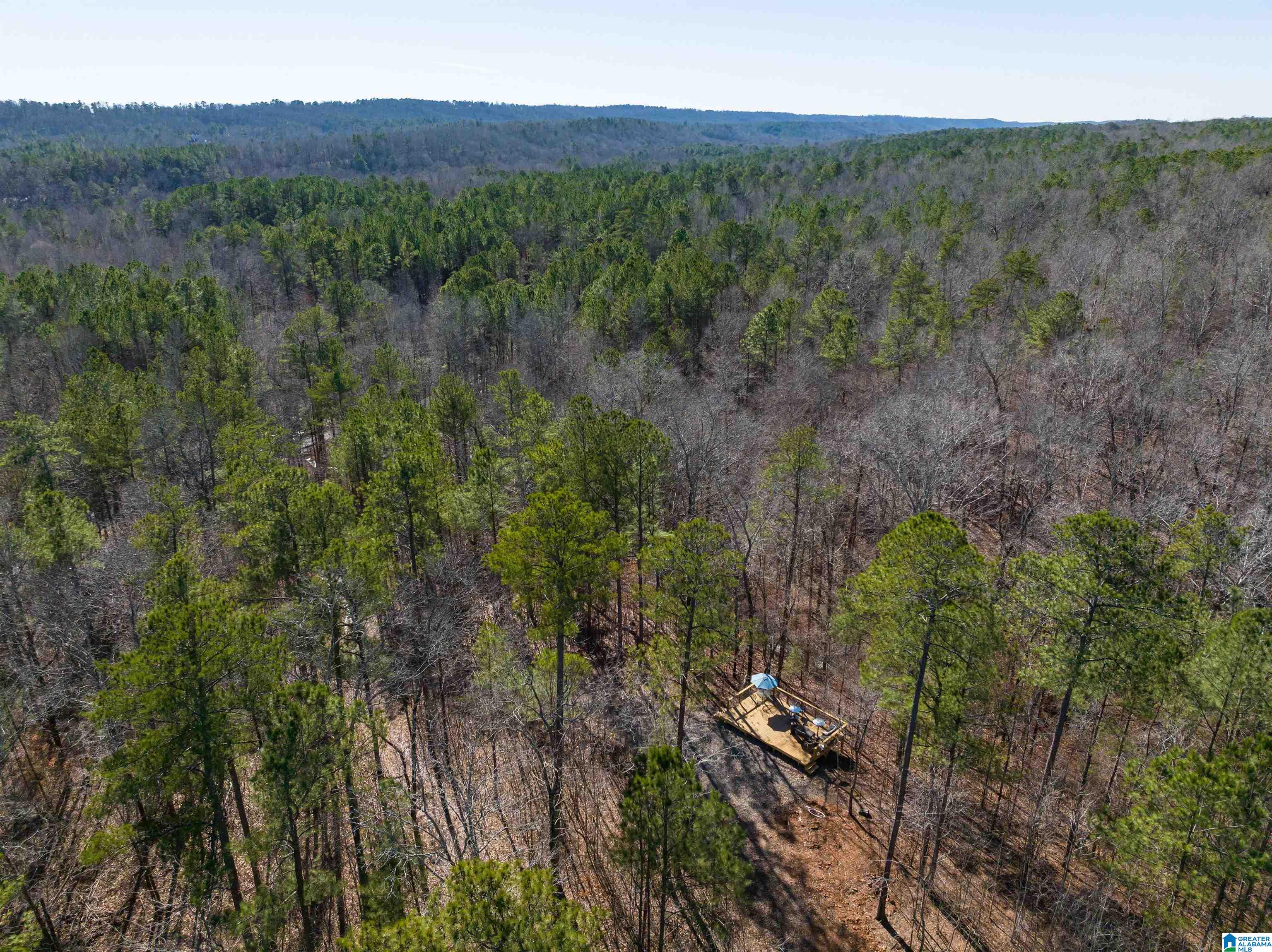3659 McClendon Chapel Road, Unit 2 Bessemer, AL 35022 - Photo 17 of 44