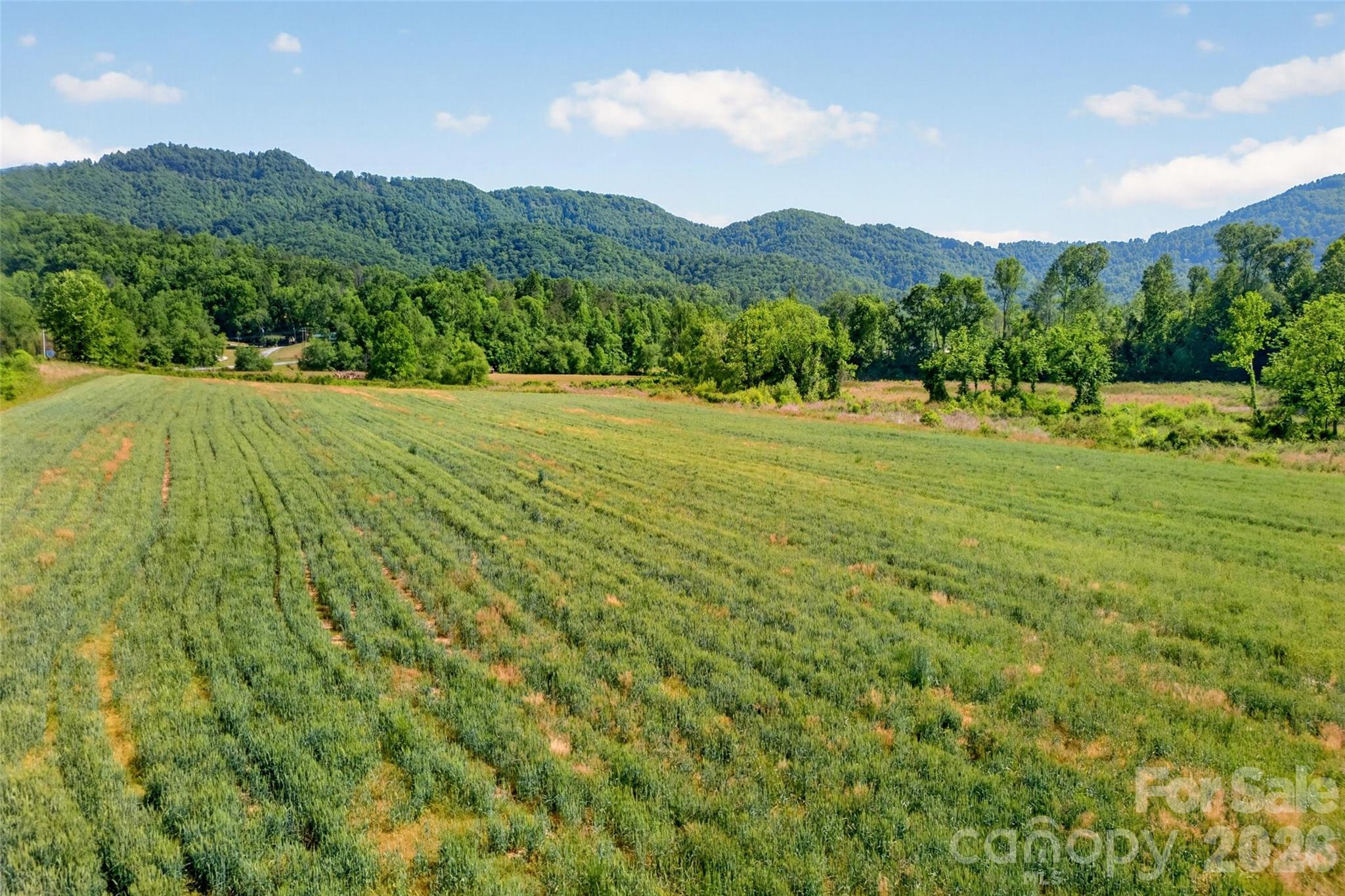 3361 Bethlehem Road Old Fort, NC 28762 - Photo 21 of 47