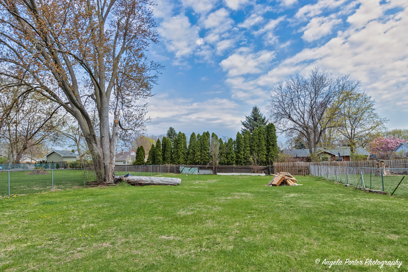 43 Lippincott Road Fox Lake, IL 60020 - Photo 31 of 31 a view of a park with large trees
