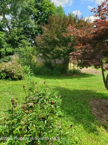 a view of yard with green space