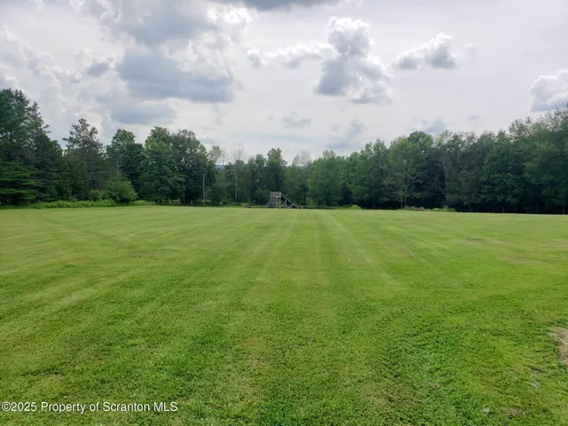 a view of a field with trees in the background