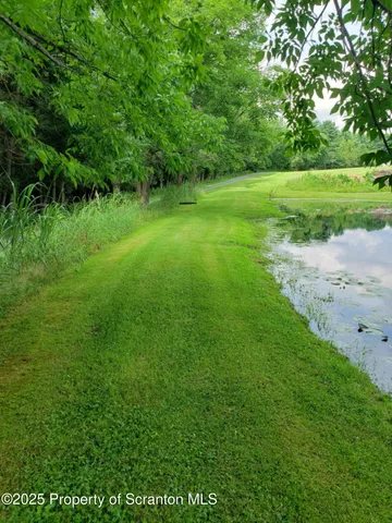 a view of a grassy field with trees