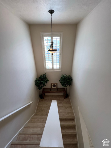 Staircase with wood-finish treads, a contrasting handrail, and a window featuring plantation shutters