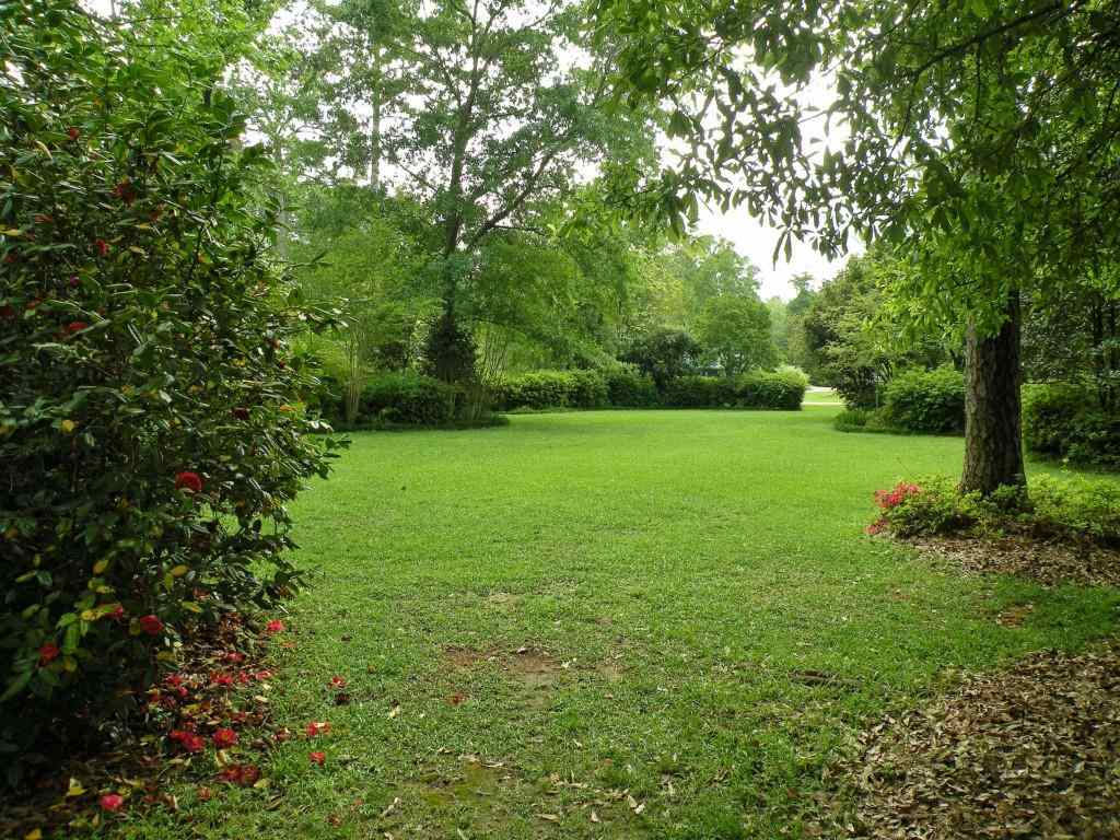 14077 Wembley Road Folsom, LA 70437 - Photo 23 of 25 Gallery Image 23