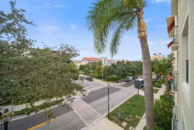 a view of a backyard with palm trees