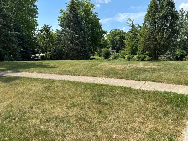 a view of a field with trees in the background