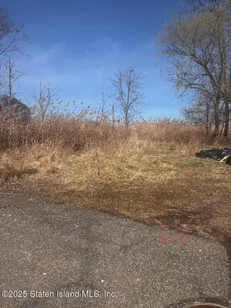 a view of a field with trees in the background