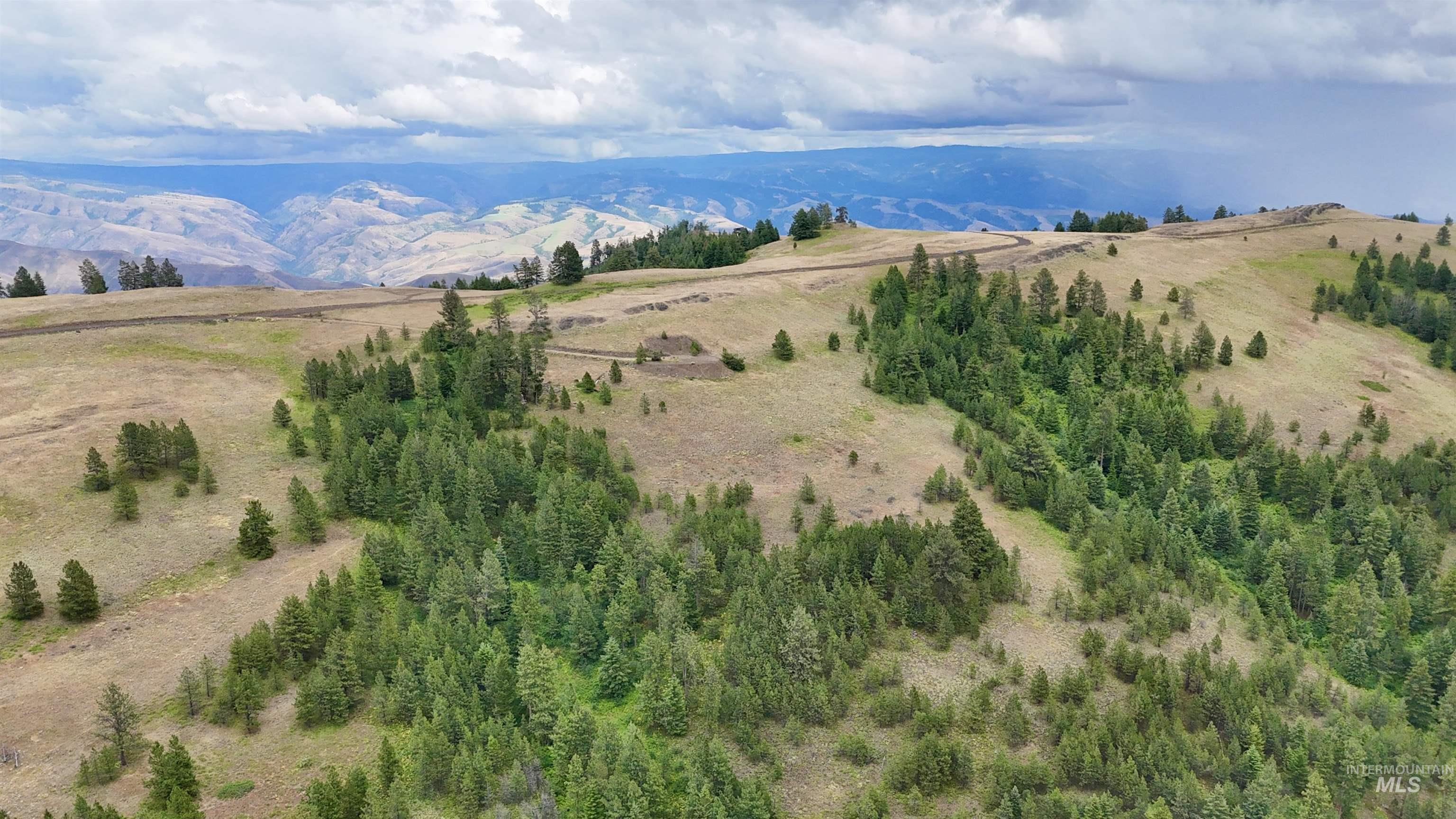 Lot 91 Pilgrim Ridge Road White Bird, ID 83554 - Photo 10 of 35