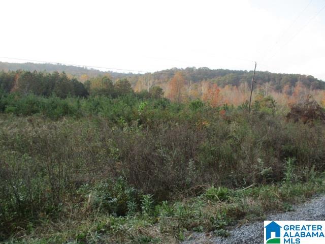 Smith Road, Unit 23 25 Oneonta, AL 35121 - Photo 1 of 5