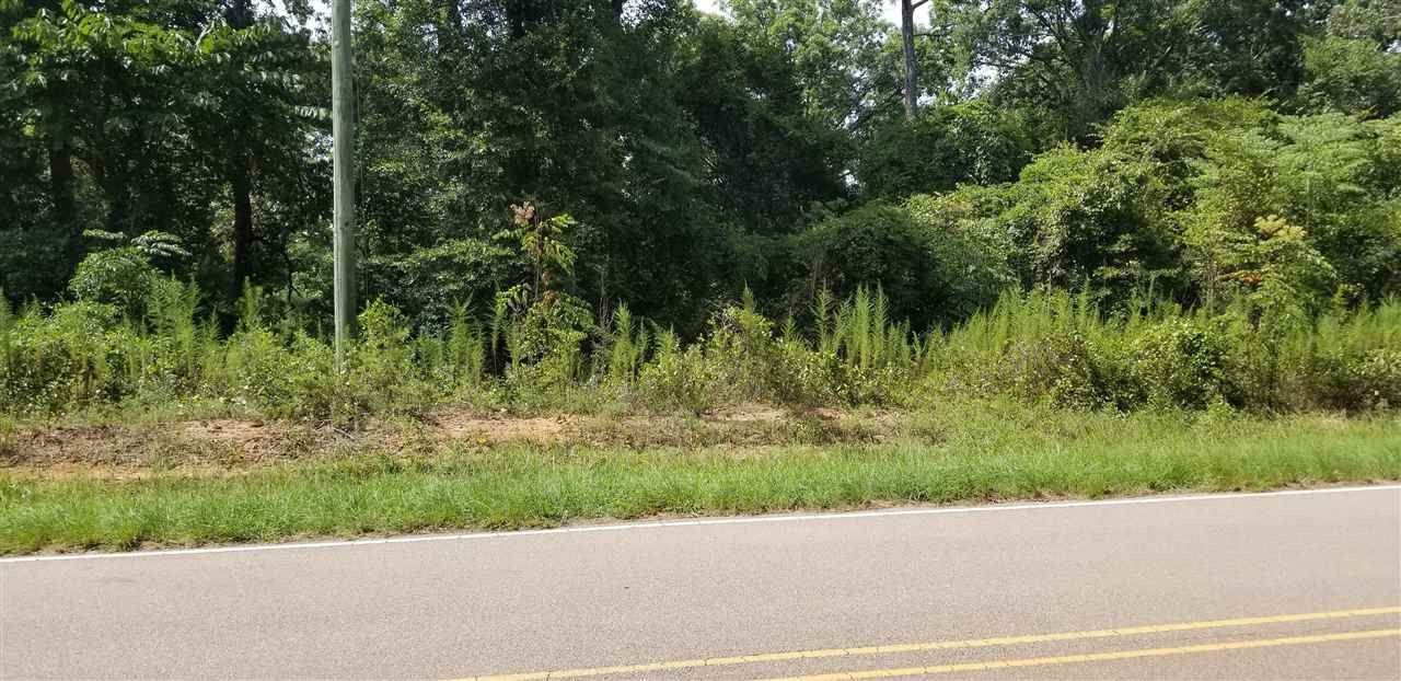 2426 Shiloh Road Brandon, MS 39042 - Photo 3 of 6 Photo 3