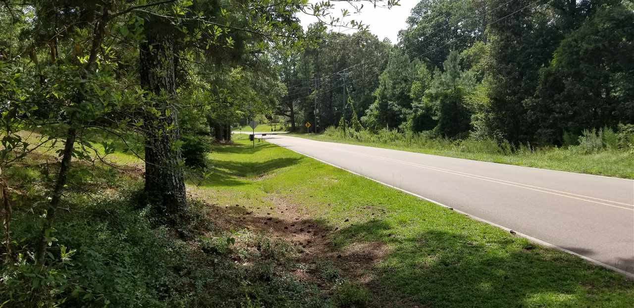 2426 Shiloh Road Brandon, MS 39042 - Photo 4 of 6 Photo 4