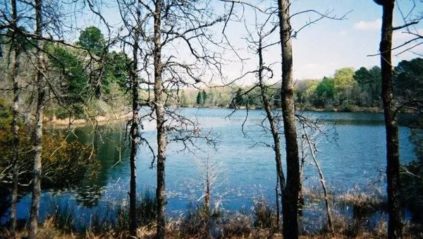 $150,000 | Lot 231 Safari Shores Drive, Larue, TX 75770