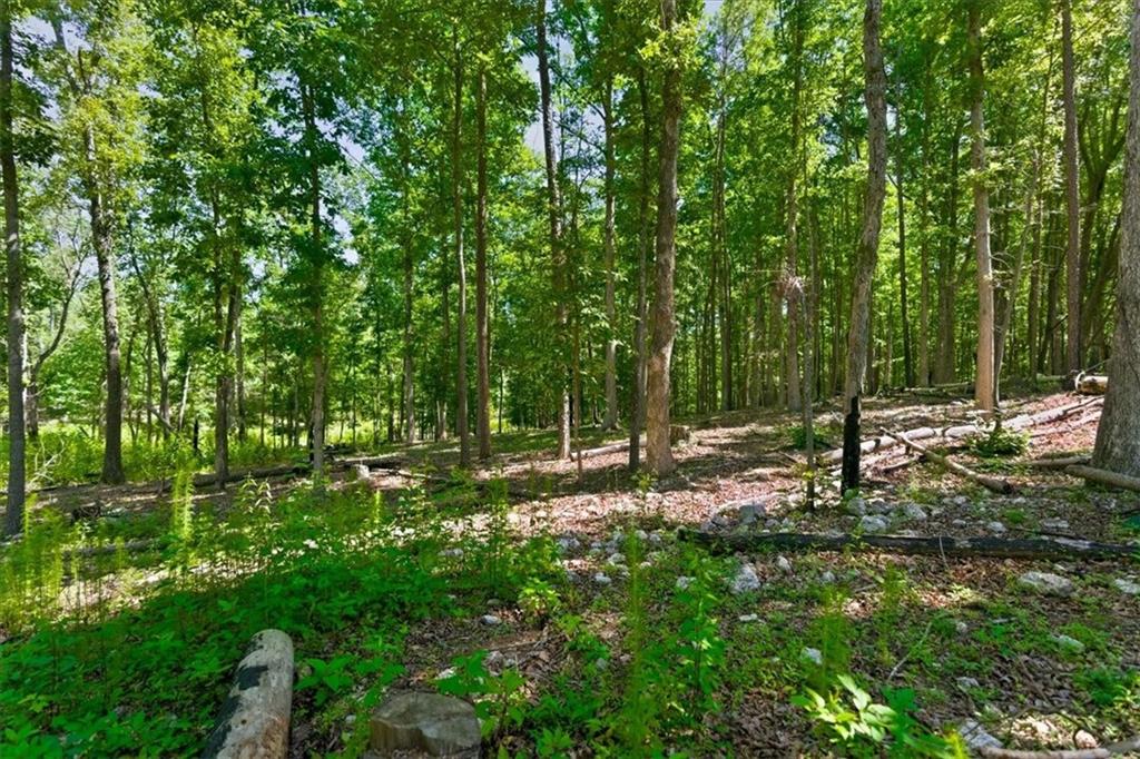 0 Williams Road Southeast Silver Creek, GA 30173 - Photo 22 of 35
