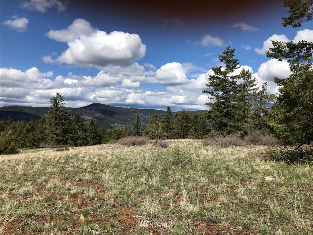 22-lot 22-lot Union Spur Ridge Road Republic, WA 99166 - Photo 8 of 10