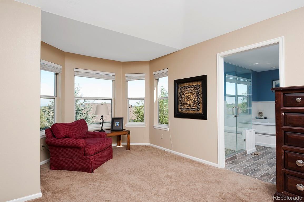 617 Huntington Place Highlands Ranch, CO 80126 - Photo 19 of 35 Gallery Image 19