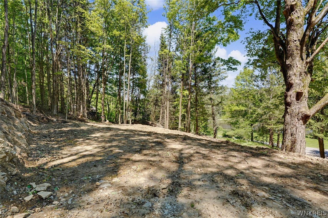 8176 Irish Road Colden, NY 14033 - Photo 36 of 41