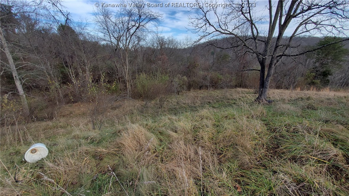 459 B Angel Fork Road St. Albans, WV 25177 - Photo 11 of 15 Gallery Image 11