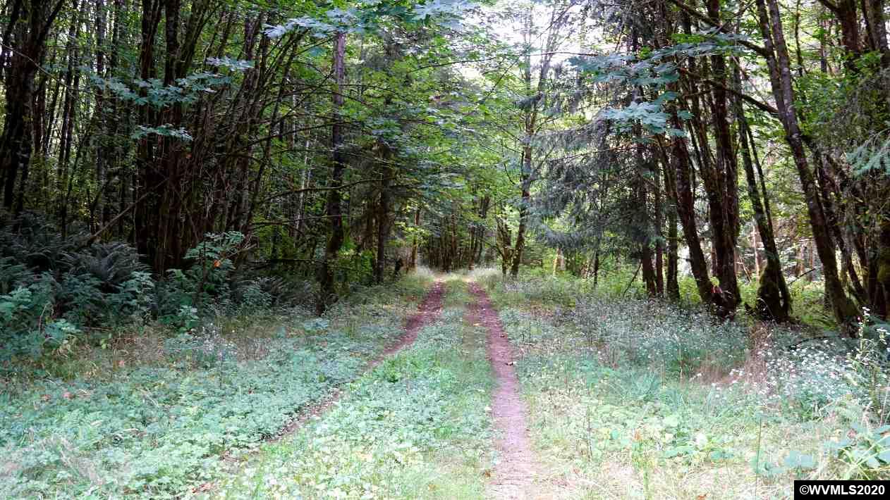 33600 Southwest Sw Highway Sandy, OR 97055 - Photo 10 of 32