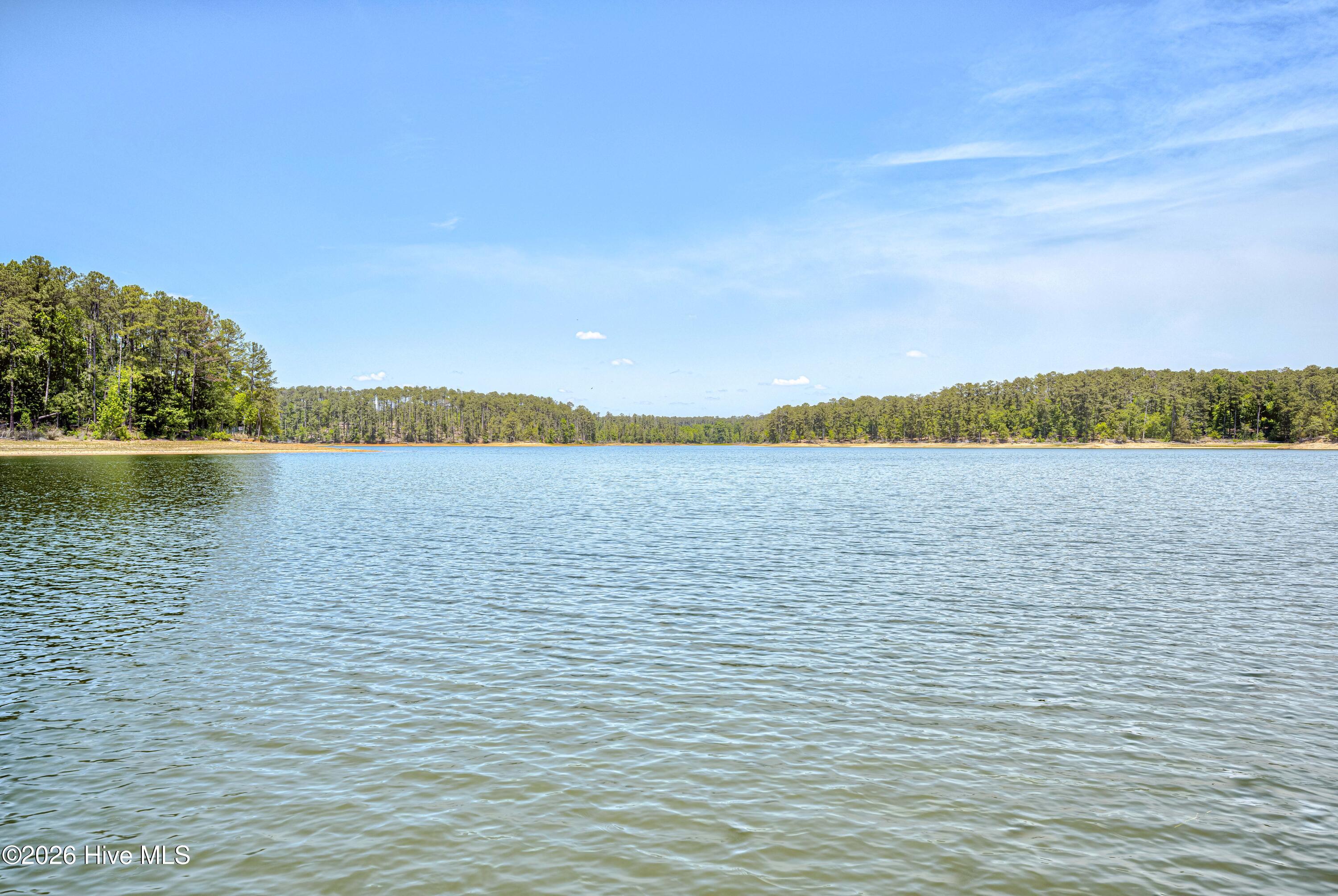 201 Rhett Drive McCormick, SC 29835 - Photo 95 of 107 089-089-