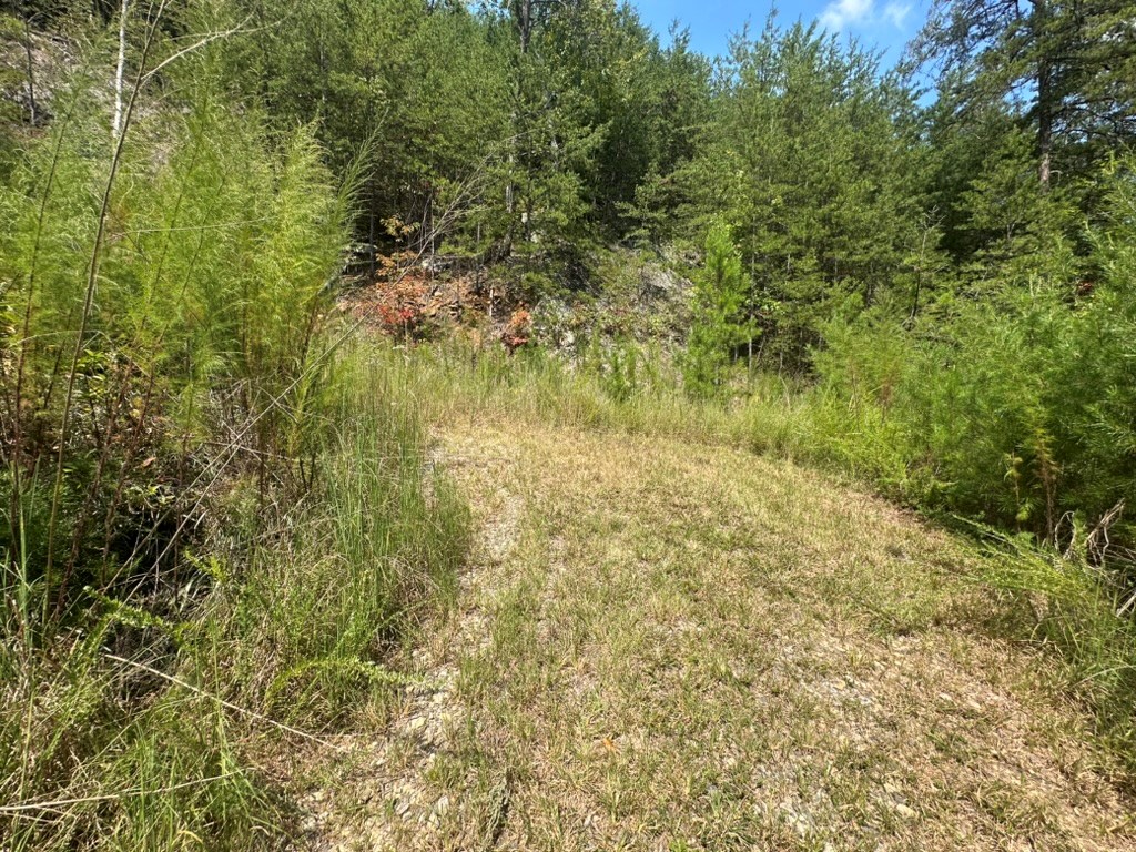 Lot 8-8a Bergan Moore Road Murphy, NC 28906 - Photo 8 of 13 Gallery Image 8