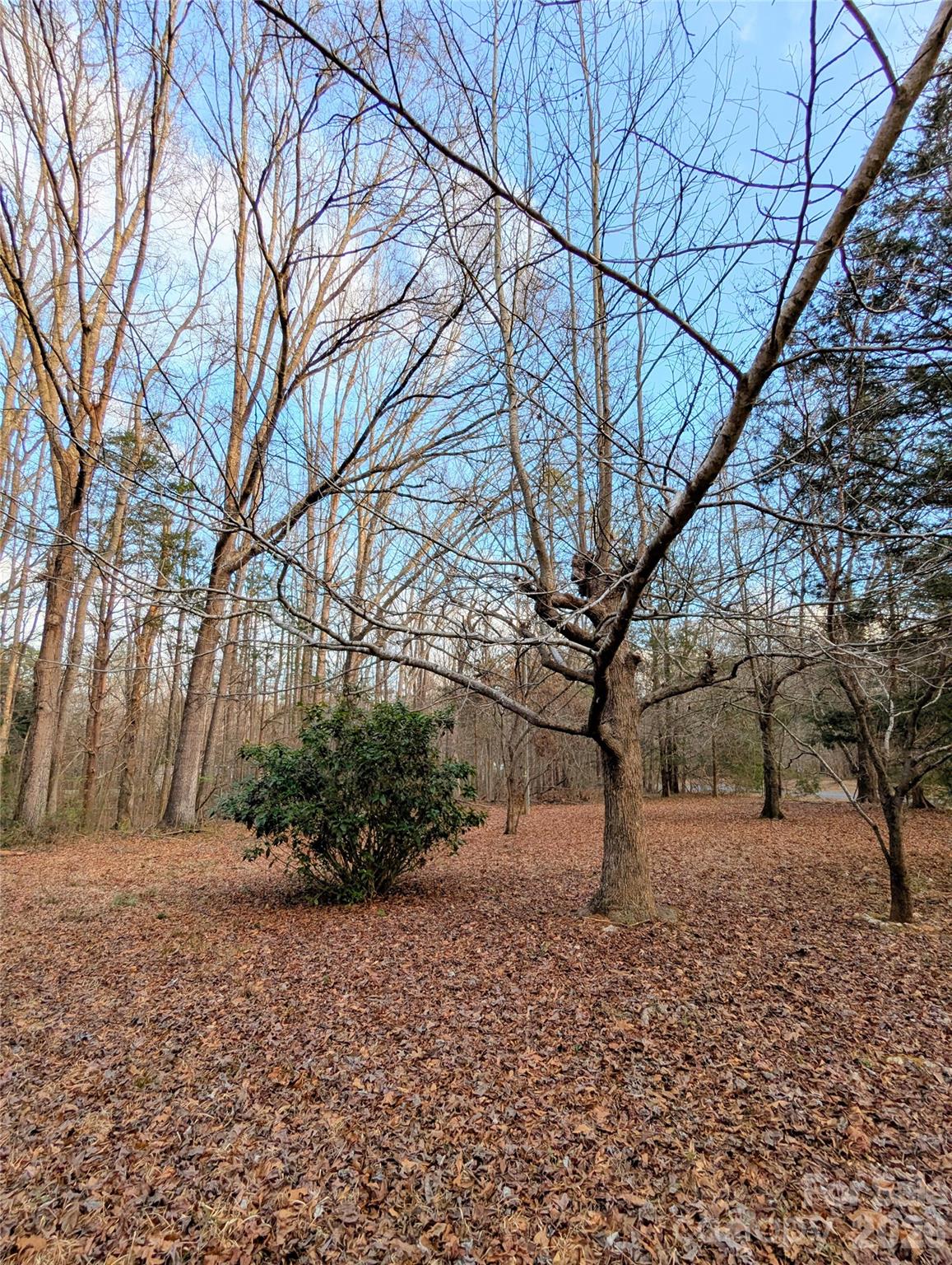 1555 Moss Creek Road York, SC 29745 - Photo 13 of 16
