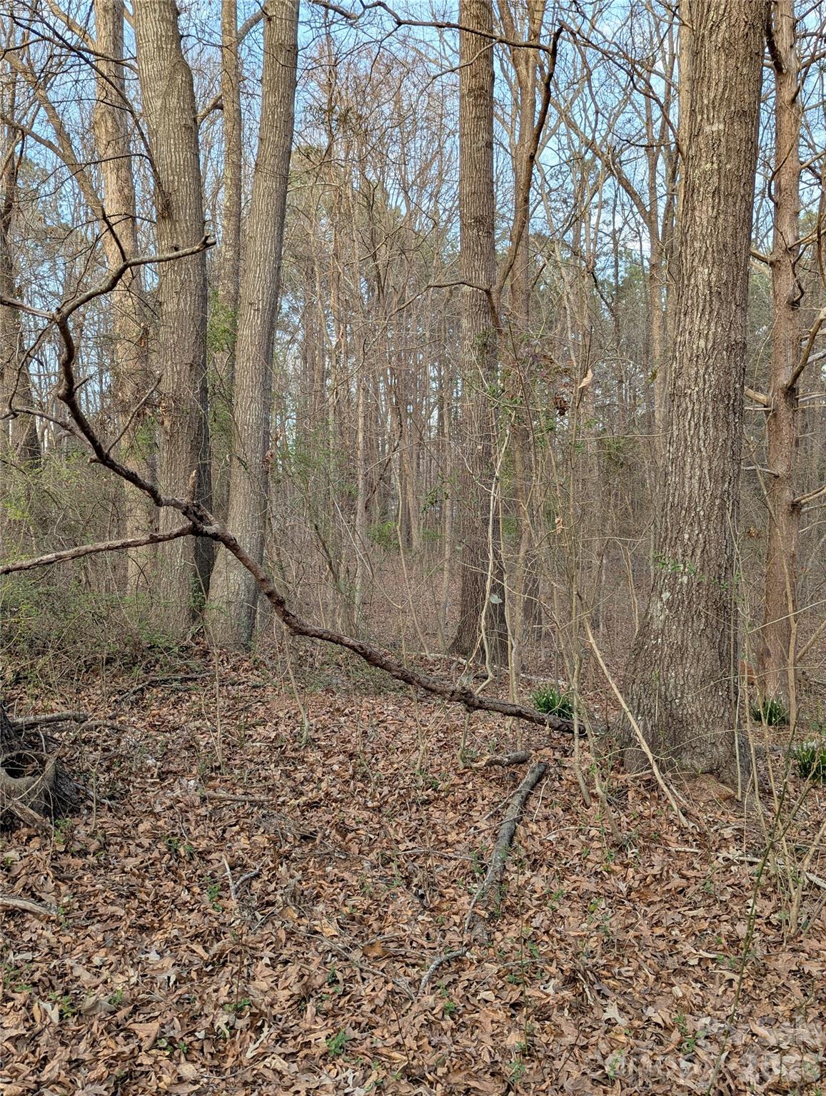 1555 Moss Creek Road York, SC 29745 - Photo 15 of 16