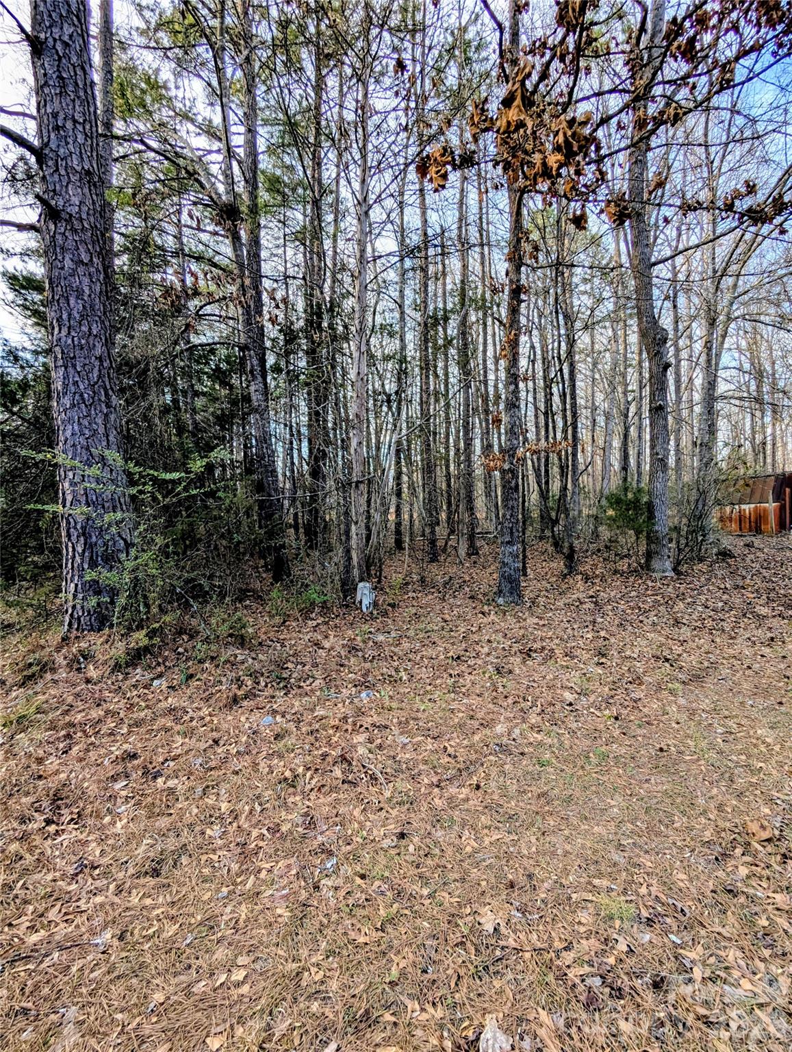 1555 Moss Creek Road York, SC 29745 - Photo 7 of 16