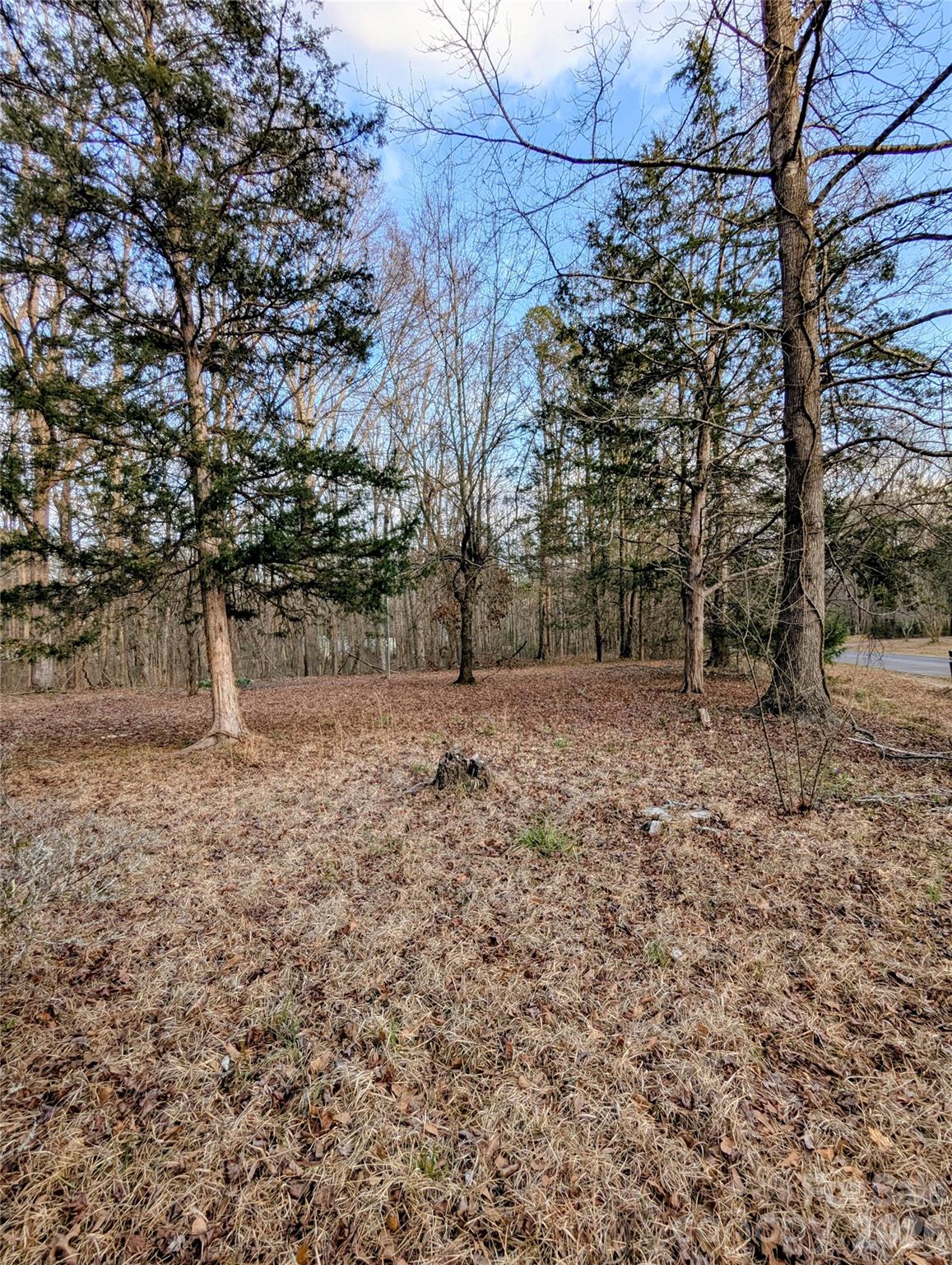 1555 Moss Creek Road York, SC 29745 - Photo 8 of 16