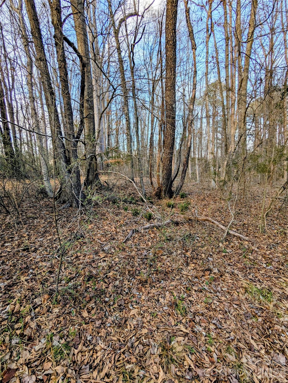 1555 Moss Creek Road York, SC 29745 - Photo 10 of 16