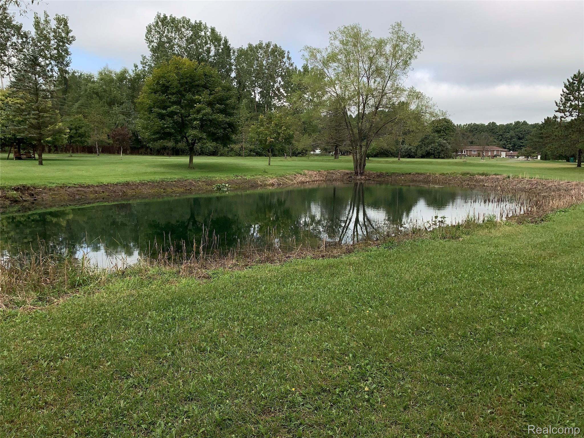 8680 Willow Road Willis, MI 48191 - Photo 23 of 33 IMG_0801.JPG