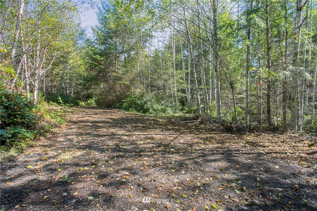 9395 Coyle Road Quilcene, WA 98376 - Photo 3 of 12