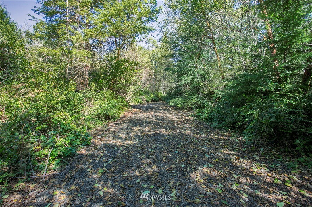9395 Coyle Road Quilcene, WA 98376 - Photo 5 of 12