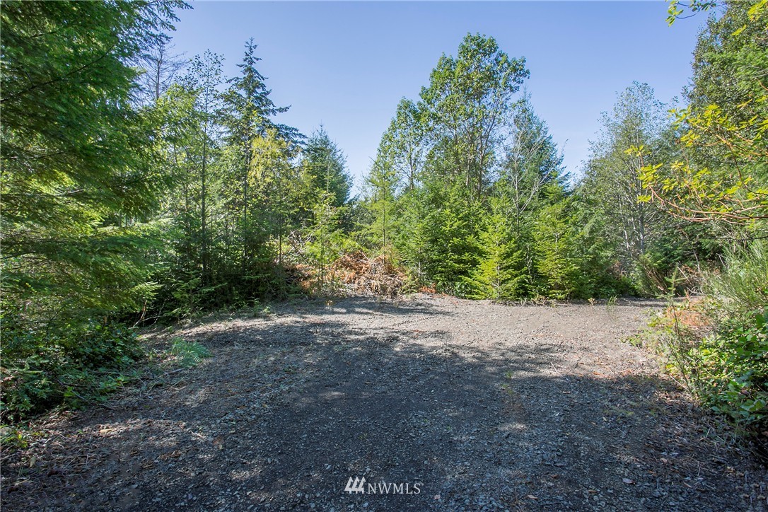 9395 Coyle Road Quilcene, WA 98376 - Photo 6 of 12