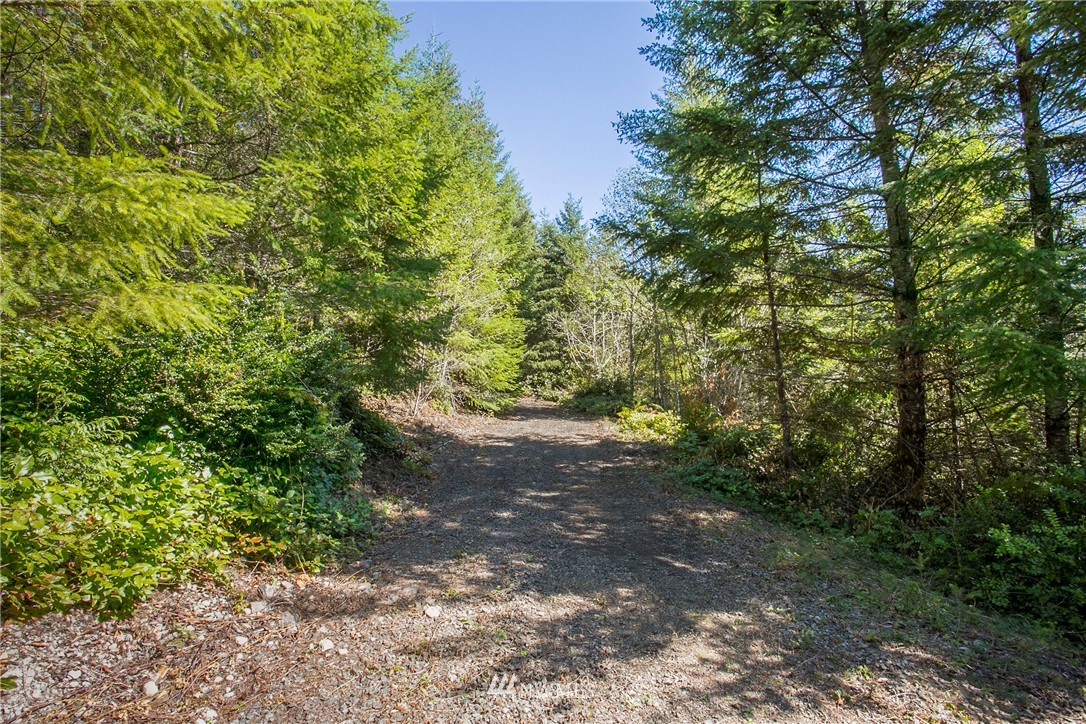 9395 Coyle Road Quilcene, WA 98376 - Photo 7 of 12