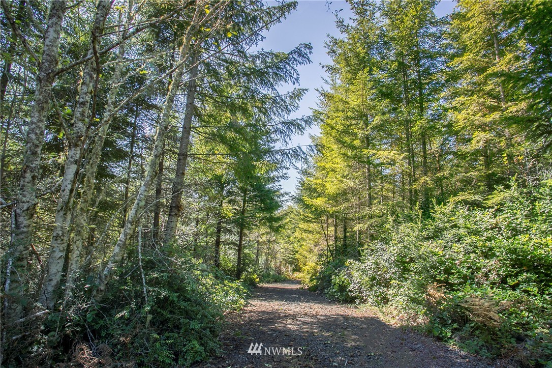 9395 Coyle Road Quilcene, WA 98376 - Photo 8 of 12