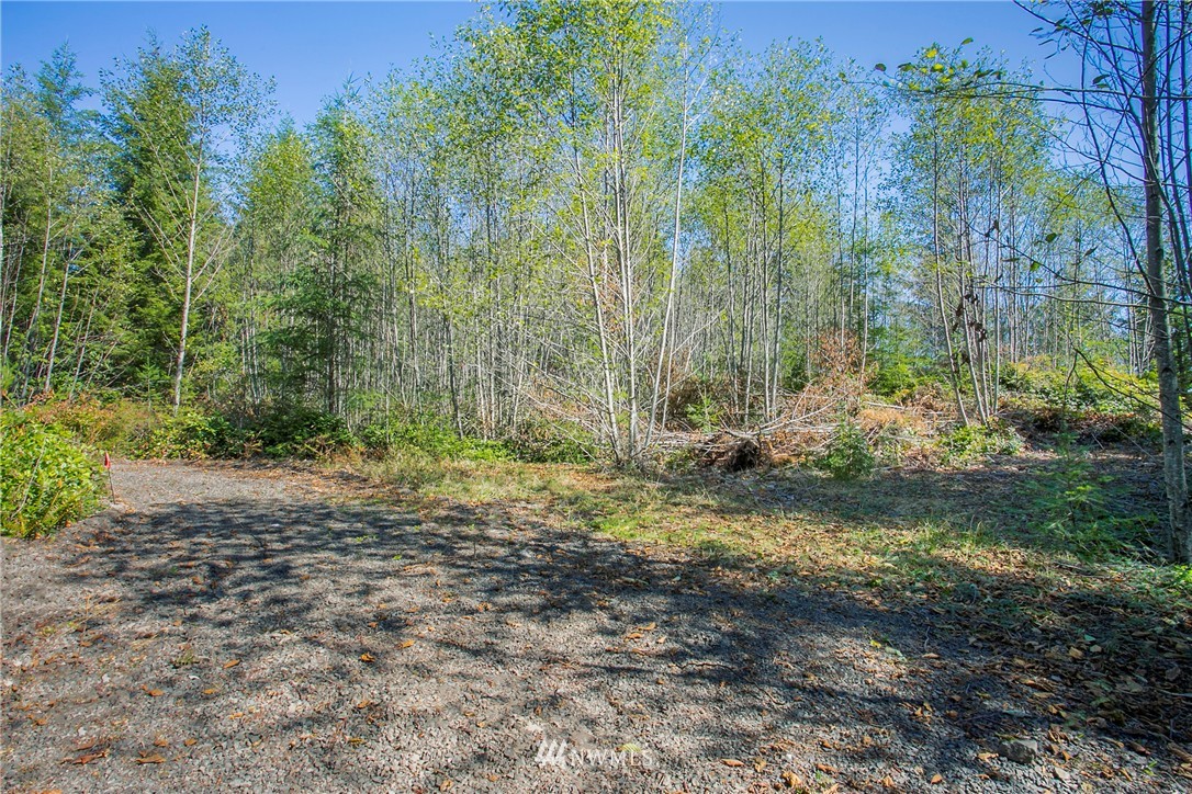 9395 Coyle Road Quilcene, WA 98376 - Photo 9 of 12
