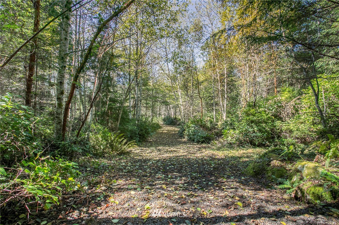 9395 Coyle Road Quilcene, WA 98376 - Photo 10 of 12