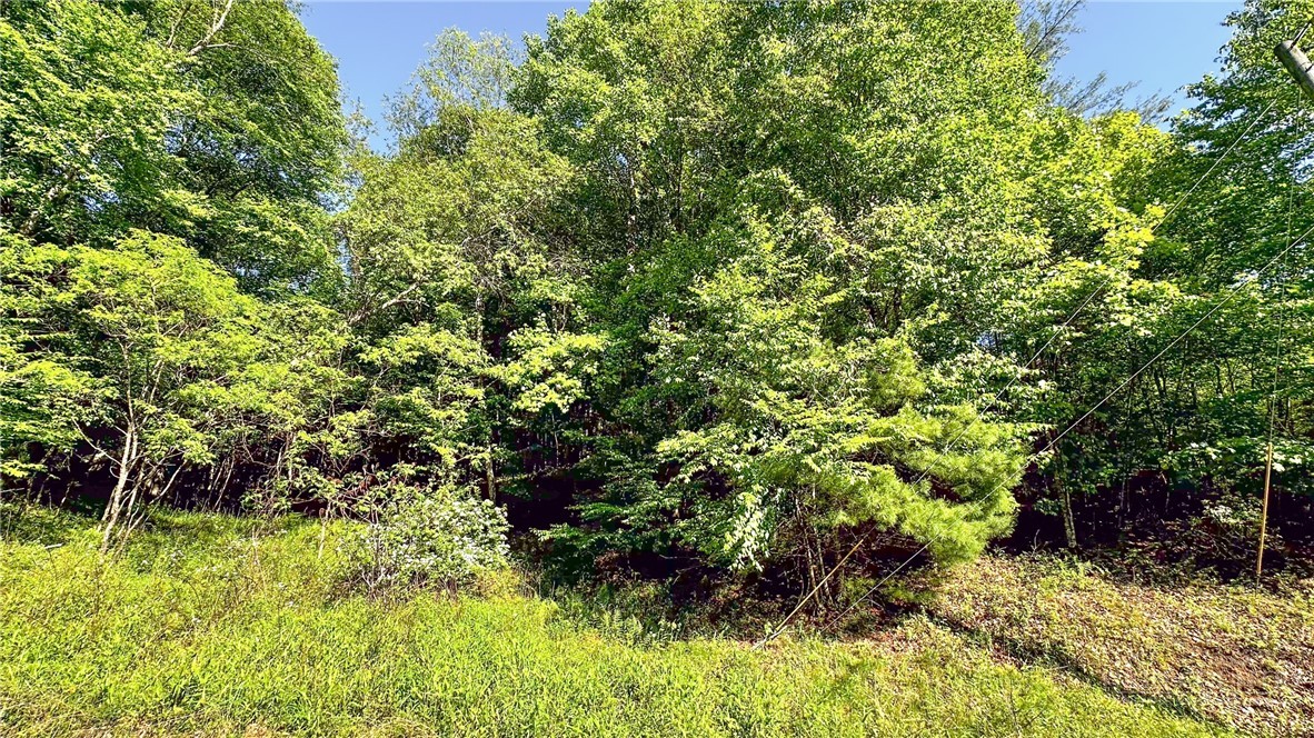 Tbd-13 Peck Peak Road Jefferson, NC 28640 - Photo 4 of 14