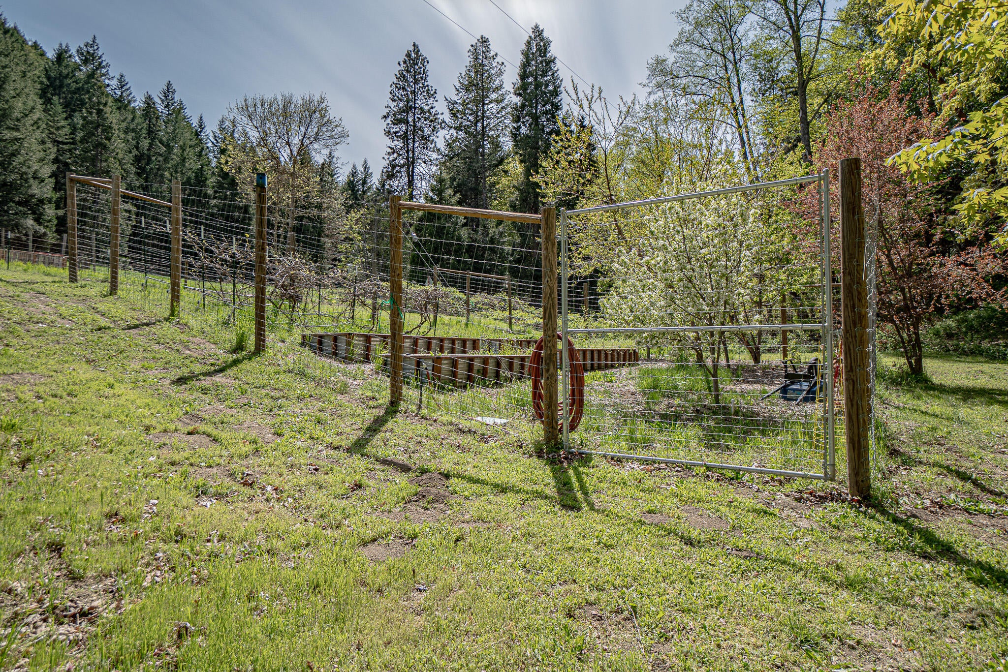 3200 Anderson Creek Road Talent, OR 97540 - Photo 61 of 69 DSC00946-HDR