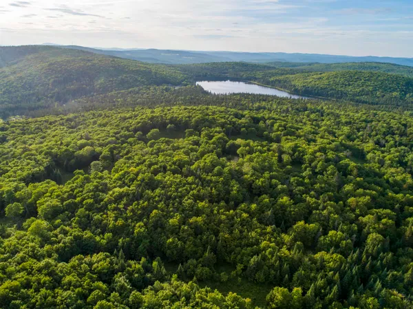 $75,000 | 7 Diamond Pond Road, Unit B, Stewartstown, NH 03576